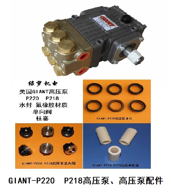 GIANT--P220 P218 高压泵 及配件.jpg